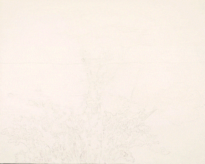 the making of poppies white gif