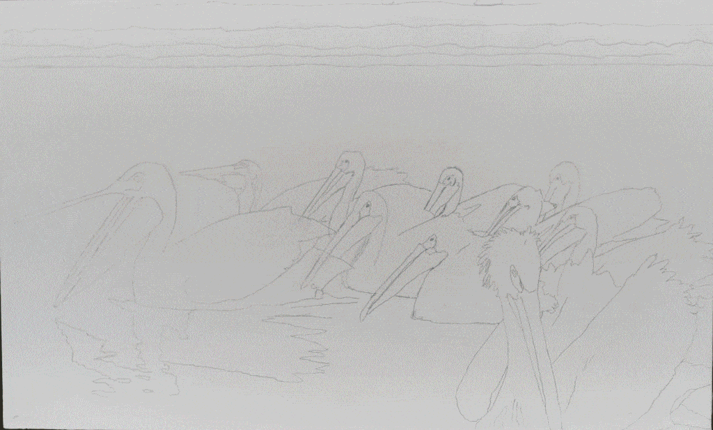 white pelicans oil painting